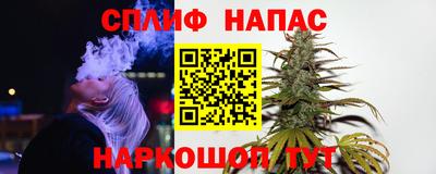 spice Гусев