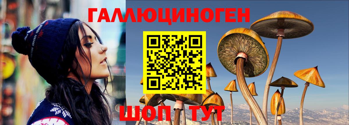 Галлюциногенные грибы Cubensis Можайск
